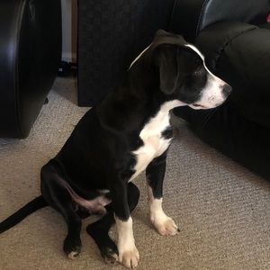 Meet your Posher, Bryant